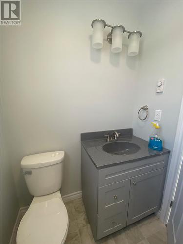 20 Tompkins Avenue, Stephenville, NL - Indoor Photo Showing Bathroom