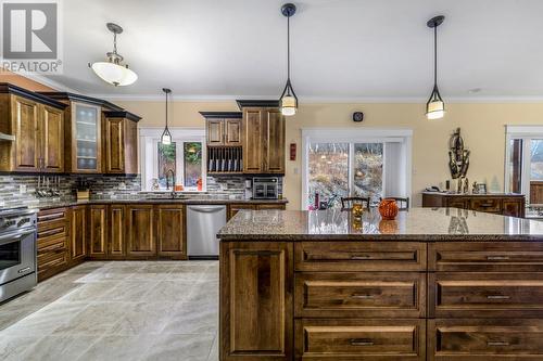 42 Greeley Garden, Conception Bay South, NL - Indoor Photo Showing Kitchen With Upgraded Kitchen