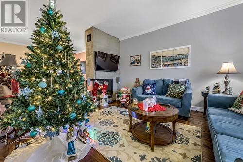 42 Greeley Garden, Conception Bay South, NL - Indoor Photo Showing Living Room