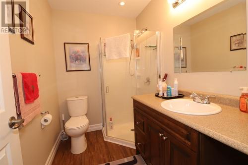 6 Muddy Hole Road, Spaniards Bay, NL - Indoor Photo Showing Bathroom