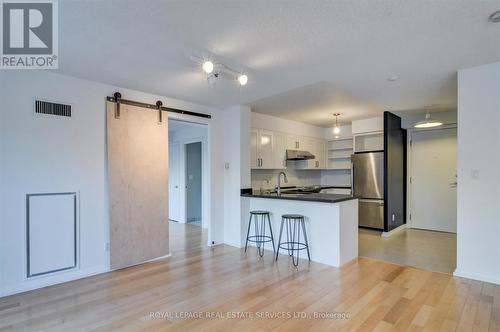 326 - 18 Beverley Street, Toronto, ON - Indoor Photo Showing Kitchen