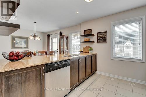 529 Snow Goose Street, Ottawa, ON - Indoor Photo Showing Kitchen With Double Sink