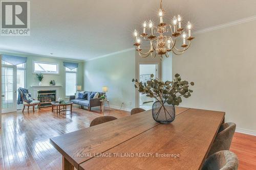 533 Mcgarrell Place, London, ON - Indoor Photo Showing Other Room With Fireplace