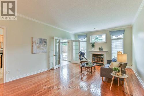 533 Mcgarrell Place, London, ON - Indoor Photo Showing Living Room With Fireplace