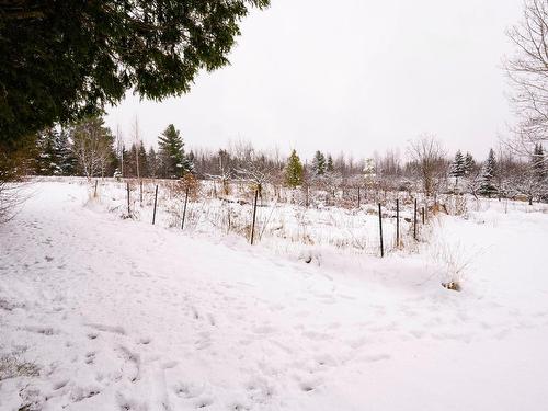 Jardin - 93 Rg St-Isidore, Saint-Fabien-De-Panet, QC - Outdoor With View