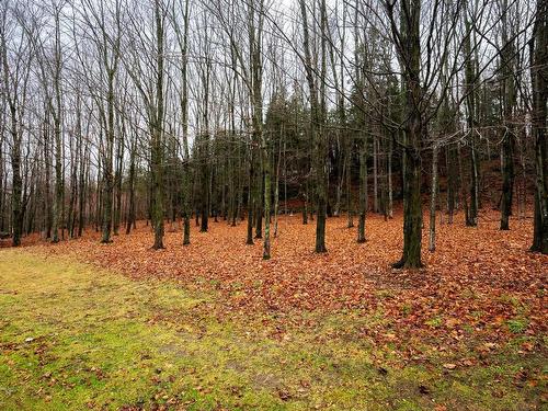 Backyard - 3 Rue Des Peupliers, L'Islet, QC - Outdoor With View