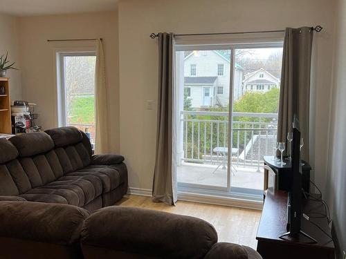 Salon - B2-50 Rue Lower Maple, Hudson, QC - Indoor Photo Showing Living Room