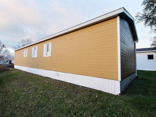 ExtÃ©rieur - 50 Rue Girard, La Malbaie, QC - Outdoor With Exterior