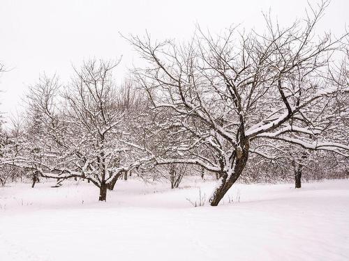 Backyard - 93Z Rg St-Isidore, Saint-Fabien-De-Panet, QC 