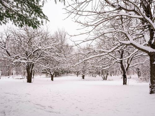 Backyard - 93Z Rg St-Isidore, Saint-Fabien-De-Panet, QC 