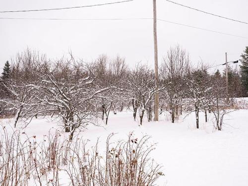 Backyard - 93Z Rg St-Isidore, Saint-Fabien-De-Panet, QC 