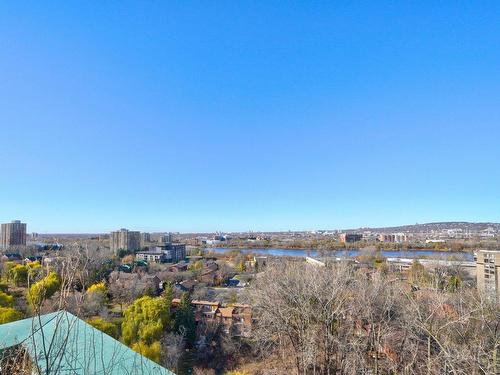 Vue - 1400-700 Ch. Marie-Le Ber, Montréal (Verdun/Île-Des-Soeurs), QC - Outdoor With View