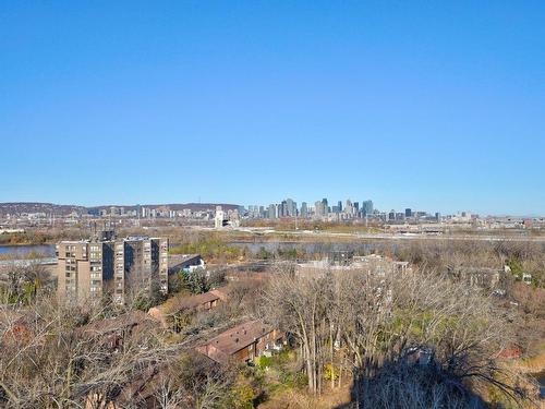 Vue - 1400-700 Ch. Marie-Le Ber, Montréal (Verdun/Île-Des-Soeurs), QC - Outdoor With View