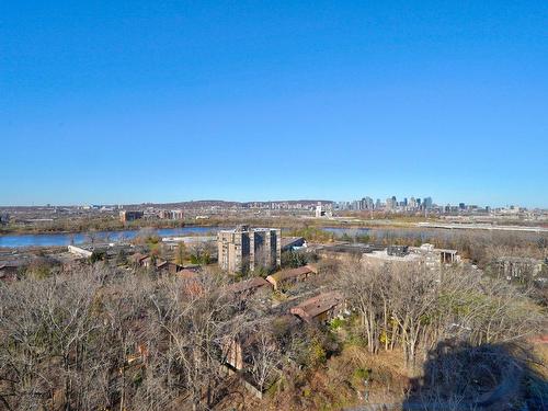 Vue - 1400-700 Ch. Marie-Le Ber, Montréal (Verdun/Île-Des-Soeurs), QC - Outdoor With View