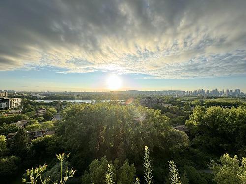 Vue - 1400-700 Ch. Marie-Le Ber, Montréal (Verdun/Île-Des-Soeurs), QC - Outdoor With View