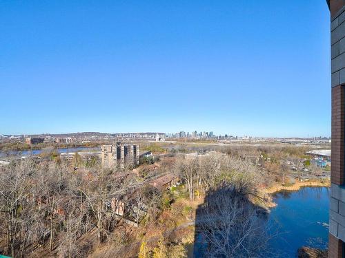 Vue - 1400-700 Ch. Marie-Le Ber, Montréal (Verdun/Île-Des-Soeurs), QC - Outdoor With View