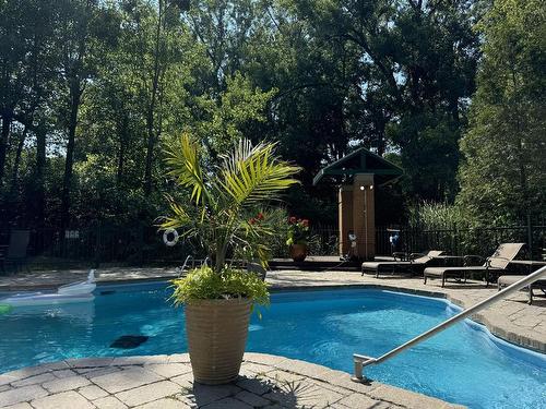 Piscine - 1400-700 Ch. Marie-Le Ber, Montréal (Verdun/Île-Des-Soeurs), QC - Outdoor With In Ground Pool With Backyard