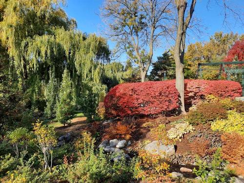 Jardin - 1400-700 Ch. Marie-Le Ber, Montréal (Verdun/Île-Des-Soeurs), QC - Outdoor With View