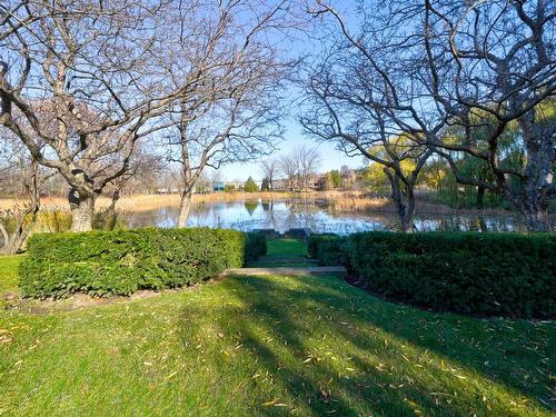 Jardin - 1400-700 Ch. Marie-Le Ber, Montréal (Verdun/Île-Des-Soeurs), QC - Outdoor