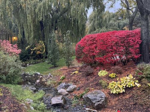 Jardin - 1400-700 Ch. Marie-Le Ber, Montréal (Verdun/Île-Des-Soeurs), QC - Outdoor