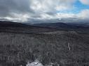 Terre/Terrain - Ch. Du Lac-Baribeau, Saint-Donat, QC 