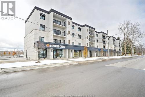 3817 Howard Avenue Unit# 214, Windsor, ON - Outdoor With Balcony