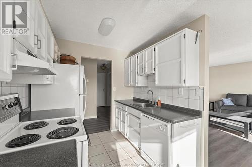 3936 Wyandotte Street East Unit# 311, Windsor, ON - Indoor Photo Showing Kitchen