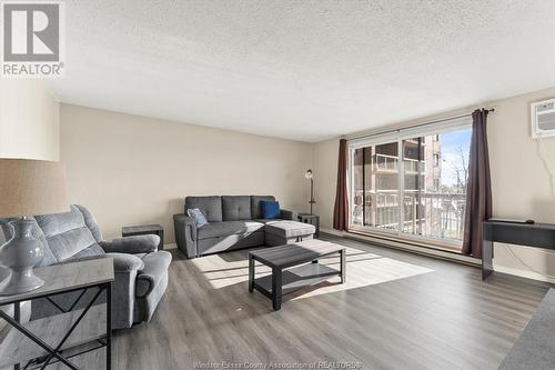 3936 Wyandotte Street East Unit# 311, Windsor, ON - Indoor Photo Showing Living Room