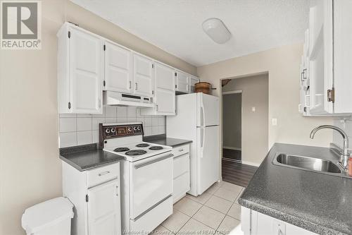 3936 Wyandotte Street East Unit# 311, Windsor, ON - Indoor Photo Showing Kitchen