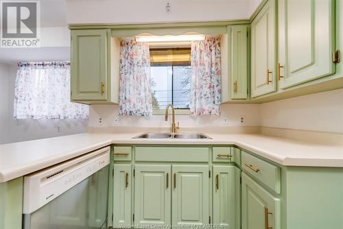 3240 St. Patrick'S Drive, Windsor, ON - Indoor Photo Showing Kitchen With Double Sink