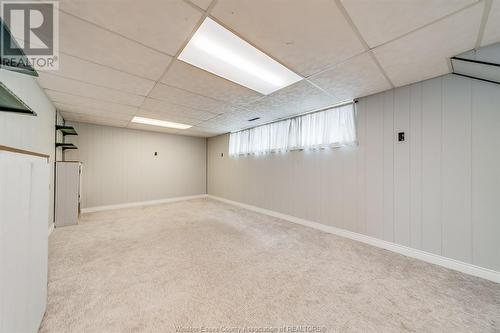 3240 St. Patrick'S Drive, Windsor, ON - Indoor Photo Showing Basement