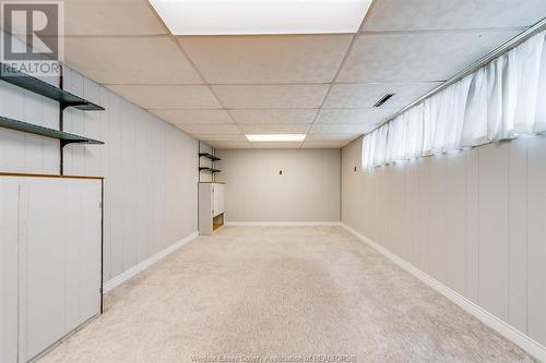 3240 St. Patrick'S Drive, Windsor, ON - Indoor Photo Showing Basement