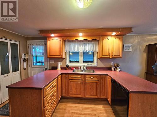 27 Glenhaven Boulevard, Corner Brook, NL - Indoor Photo Showing Kitchen With Double Sink