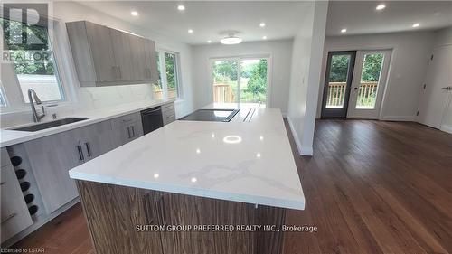 164 Winston Avenue, London, ON - Indoor Photo Showing Kitchen With Upgraded Kitchen