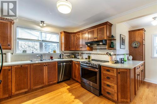 6 Downing Street, St. John'S, NL - Indoor Photo Showing Kitchen With Double Sink