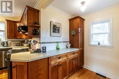 6 Downing Street, St. John'S, NL - Indoor Photo Showing Kitchen