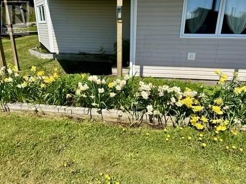 25 Pinebud Avenue, Trinity, NL - Outdoor