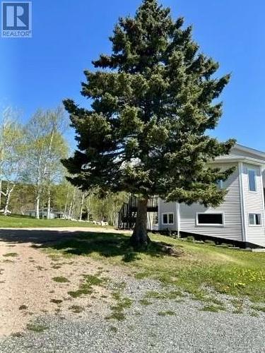 25 Pinebud Avenue, Trinity, NL - Outdoor