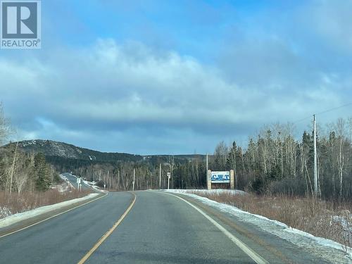 25 Pinebud Avenue, Trinity, NL - Outdoor With View