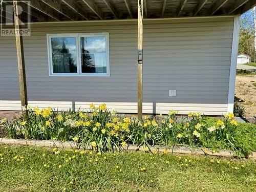 25 Pinebud Avenue, Trinity, NL - Outdoor With Deck Patio Veranda With Exterior