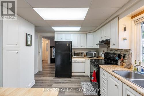 4584 Sixth Avenue, Niagara Falls, ON - Indoor Photo Showing Kitchen With Double Sink