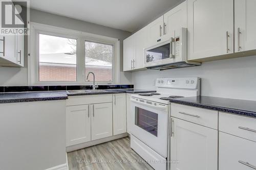 183 Wellington Street E, Barrie, ON - Indoor Photo Showing Kitchen With Double Sink