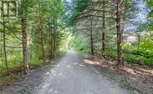 View of road - 431 Northlake Drive, Waterloo, ON - Outdoor With View