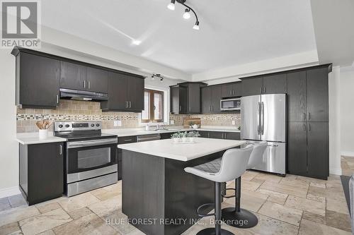 1776 Green Gables Road, London, ON - Indoor Photo Showing Kitchen With Stainless Steel Kitchen With Upgraded Kitchen