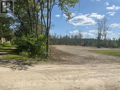 Lot 46 River Road, Kawartha Lakes (Fenelon Falls), ON 