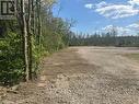 Lot 46 River Road, Kawartha Lakes (Fenelon Falls), ON 