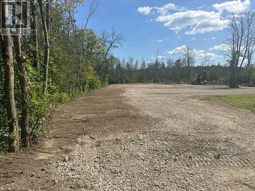 Lot 46 River Road, Kawartha Lakes (Fenelon Falls), ON 