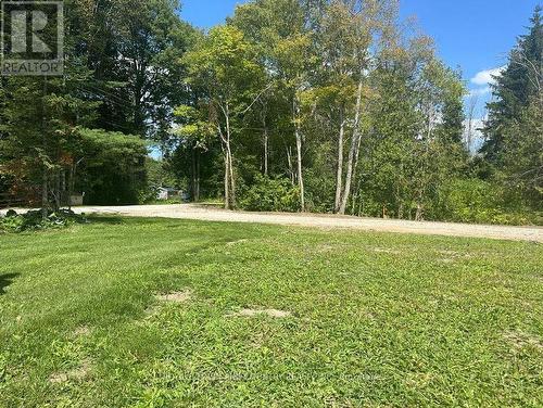 Lot 46 River Road, Kawartha Lakes (Fenelon Falls), ON 