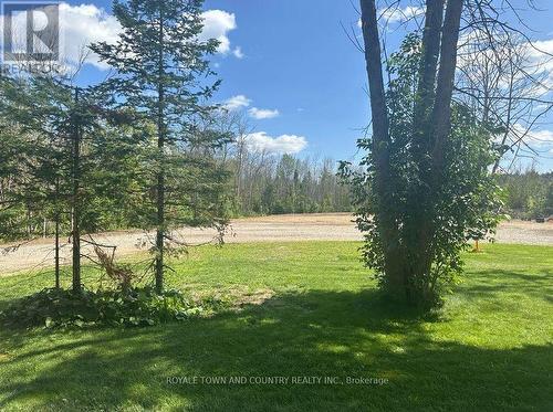 Lot 46 River Road, Kawartha Lakes (Fenelon Falls), ON 