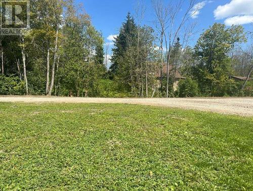 Lot 46 River Road, Kawartha Lakes (Fenelon Falls), ON 